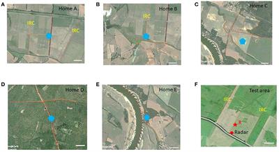 Generalization of navigation memory in honeybees